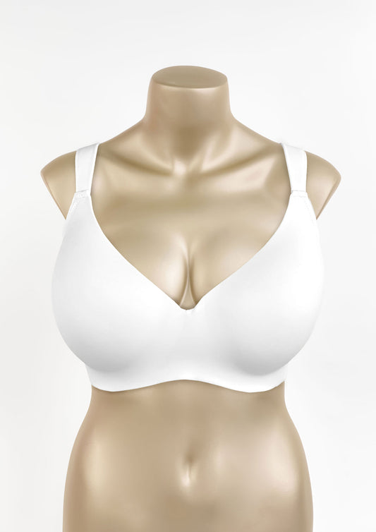 Buy 2 Bras 12 JOD Daily Bra Light Padded  Cup D